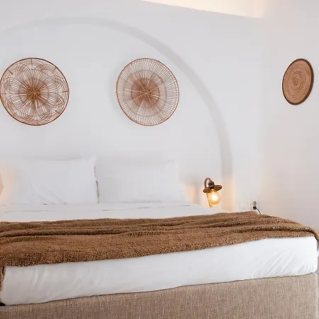 Mykonian Style W Shared Pool & Nighttime Security Guard Ornos (Mykonos)